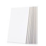 White Recombined Backup Board