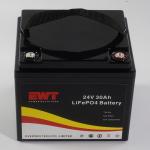 Lifepo4 Portable Battery Pack 24V 30AH With Bluetooth Can