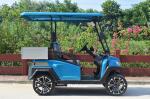 Fuel Type Electric Golf Vehicle / 2 Seater Golf Buggy 1 Year Warranty