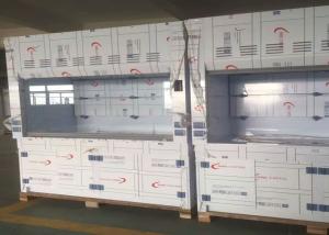 China High Laboratory Exhaust Hood With PP Faucet And Sink Fume Hood factory