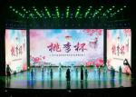 Ultra Slim Indoor Full Color LED Display Commercial Advertising Screen Display