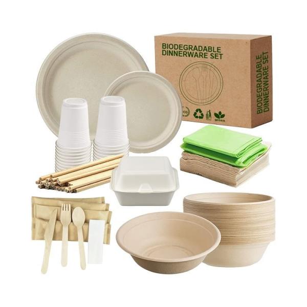 Biodegradables Disposable Biodegradable Bagasse Sugarcane Paper Plates And Cups