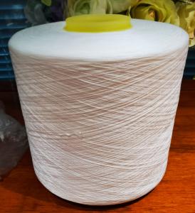 China 40S/3 TFO Spun Polyester Thread with Oeko Tex Certificate factory