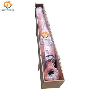 China Hydraulic Boom Cylinder Assy 4628627 4628626 4644827 4644826 for ZX240 ZX240-3 Excavator factory
