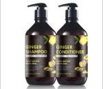 Danddruff Sulfate Free Ginger Hair Shampoo , Natural Vegan Hair Shampoo Argan