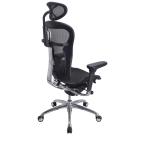 Swivel Tilt Hermen Miller Ergo Mesh Back Office Chair For Home Office