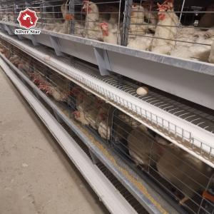 China Hot Galvanized Long Lifespan Layer Battery Cages For Farm factory