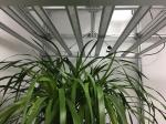 Horticulture 680W 2.9umol/J Ultraviolet Grow Light
