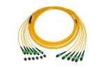 MPO MTP Trunk Cable APC Polish Single Mode 9 / 125 LSZH Optical Cable