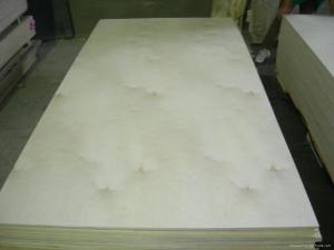 China Birch F/B Poplar Plywood Top Grade factory