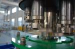 1000 BPH Beer Wine 3 In 1 Carbonated Drink Filling Machine