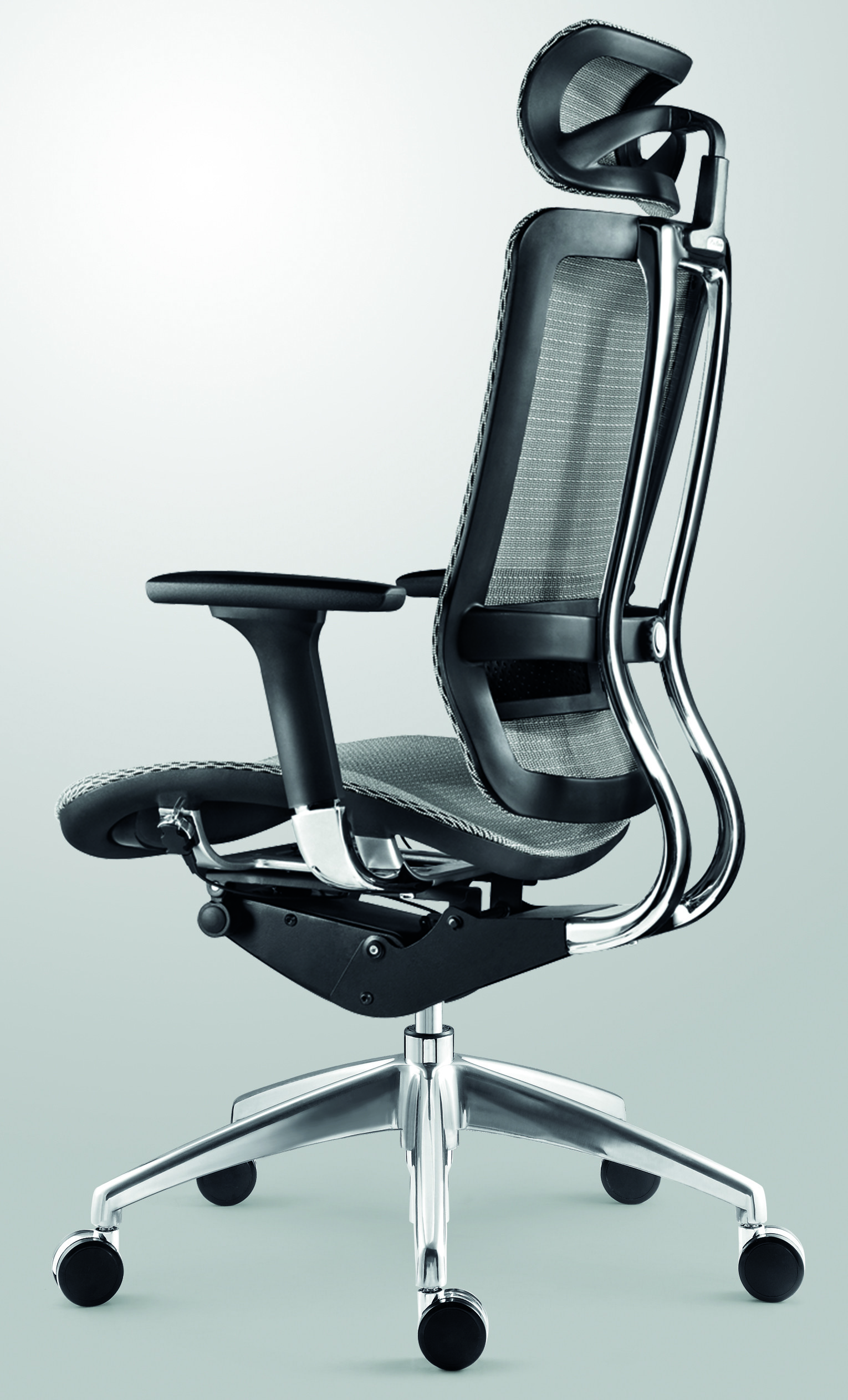 Reclining Ergonomic Home Office Chairs Mesh Bottom