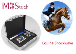 China Farm Portable Equine Pain Shockwave Therapy Machine factory