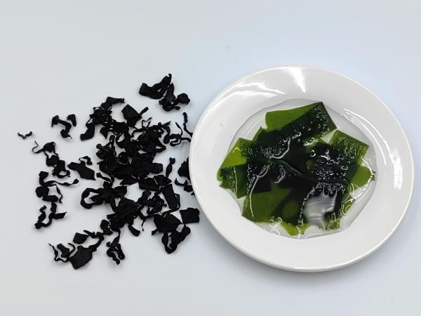 Undaria Pinnatifida Dried Wakame Korean Miyeok Nutrient Rich Undaria Seaweed For