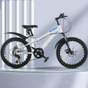China Aluminum Alloy Rims Lightweight Childrens Bikes with Adjustable Seat Height and 6 Speed Gears factory