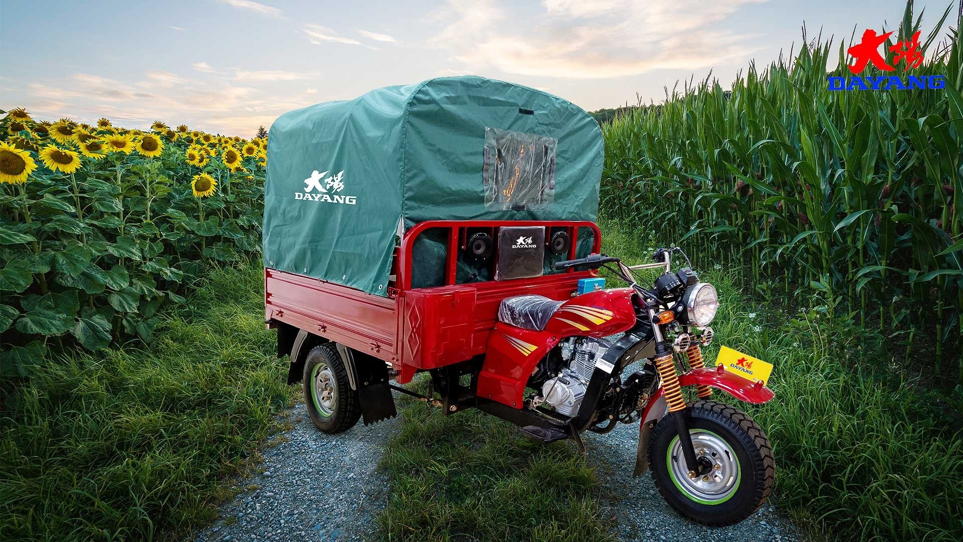 Passenger Tricycle With Roof Single Cyclinder 4 Stroke Engine Type Curb Weight ≥500kg