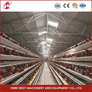 China A Type Full Automatic Chicken Cage Equipment For 20,000 Capacity Poultry Farm Sandy factory
