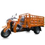 1000KG Load Double Rear Wheel 250CC Electric Cargo Tricycle