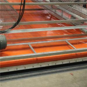 China Automatic Control Poultry House Cleanout Equipment , Powerful Poultry Farm Cage factory
