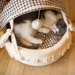 New Cat Nest High Beauty All Season Universal Small Raised Dog Bed Semi Enclosed