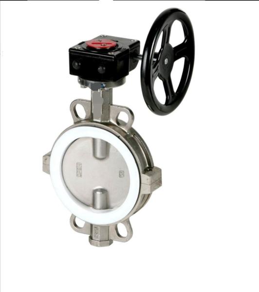 ductile iron stainless steel wcb pn10 16 chinese anti-corrosion Split body