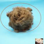 Virgin Grade Regenerated Polyester Staple Fiber Coffee Color For Spinning