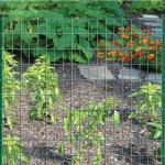 Galvanized Steel Wire Welded Wire Mesh Panels for Dog Cage Protection and