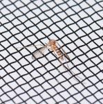 100 200 300 400 Micron 304 316 Ss Wire Mesh For Vegetable Oil Filtration