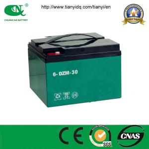 China 48V30ah Durable Deep Cycle Battery Pack/VRLA Gel Battery for Tricycle factory