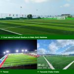 Wear-Resistant Football Grass Anti-Slip All-Season Great for Outdoor Training