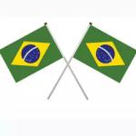 100% Polyester Brazil Custom Flag 14x21cm Brazil Hand Held Flags