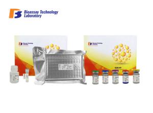 China 0.023ng/Ml Sensitivity ELISA Assay Kit For Vesicular Acetylcholine Transporter factory