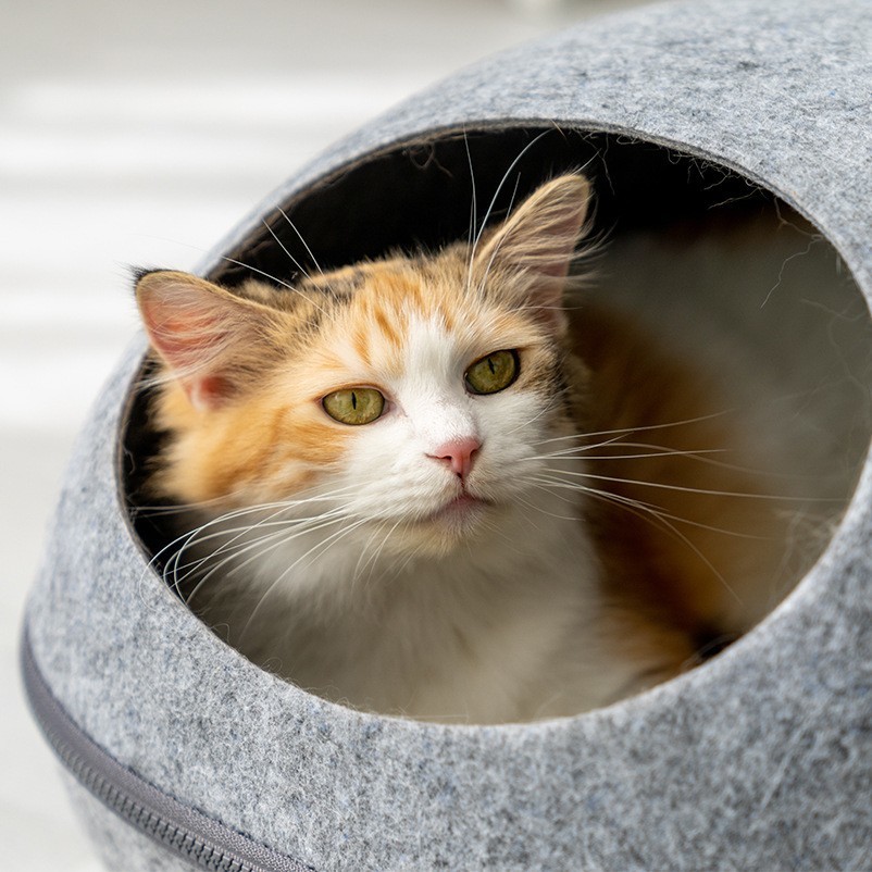felt cat bed cave