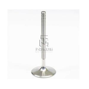 China Intake Valve 04250137 04254232 04283378 4250137 4254232 4283378 0425 0137 0425 4232 0428 3378 for deutz TCD2013 factory