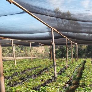 China 100% new HDPE material agricultural sun green shade net factory