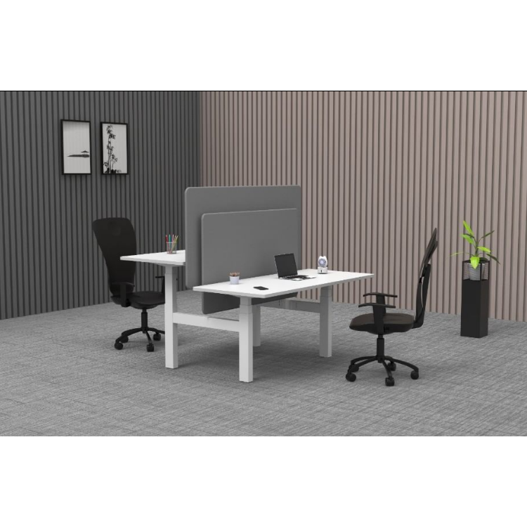 Customized Black and White Metal Dual Motor Electric Sit Stand Desk for Office