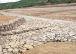 Zhuoda Hexagonal Mesh Iron Wire Woven Gabion Basket