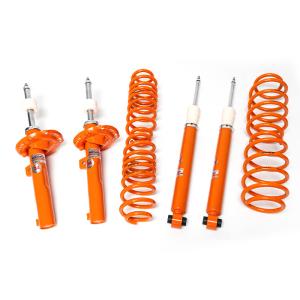 China EDDY Tailored Ride: 24-Level Damping Car Suspension Parts for VW POLO Series factory