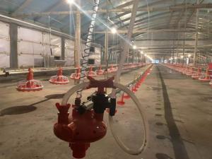 China 4 Pan/3m Chicken Feeder Equipment 380v 0.75kw With Driving Device factory