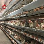 H Type Layer Battery Cage System 4 Rows Layer Poultry Farm Equipment CE Approval