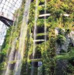 Artificial GRC Landscaping Mountain Tree Rock Decoration Theme Park