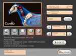 Mobile Shockwave Therapy Machine 80mj Vet Physical Therapy Equipments