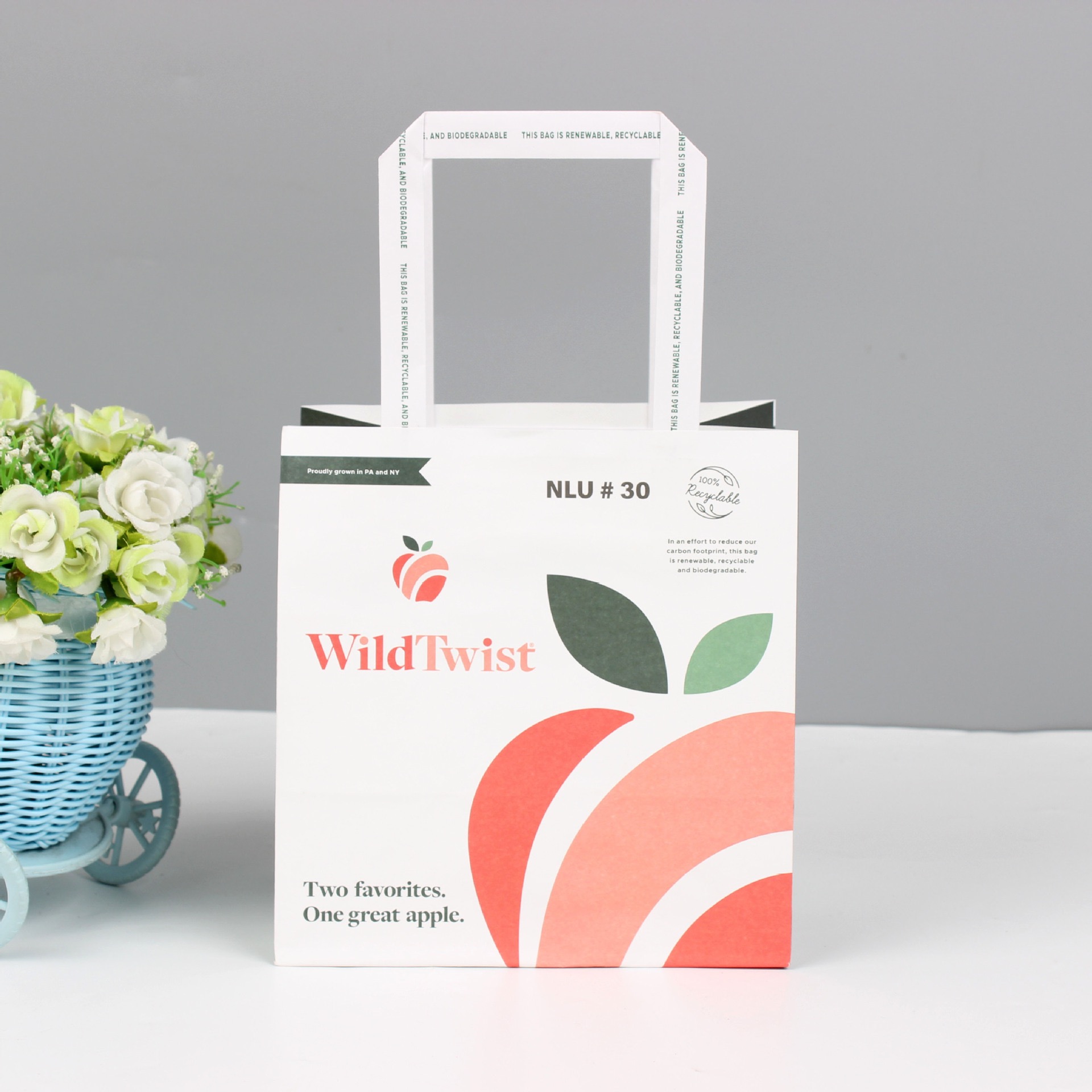 Takeaway Mini White Kraft Paper Bag With Logo for Custom Print Shopping Gift Packaging