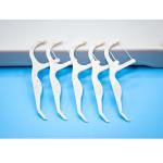 Factory Price Oral Care Eco Friendly Advanced Clean Toothpick Dental Flosser