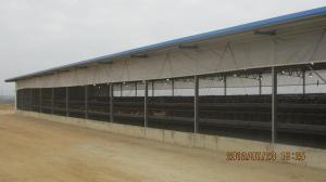 China Low price and simple flat pack container house for living and warehouse factory