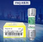 FNQ 10x38 Excitation Surge Protection Fuse 500V 0.1-30A for Motor Control