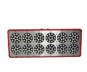 China CIDLY Full Spectrum 400W LED Grow Light LED plant light,lights manufacturing plant led factory