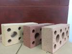 Weather Resistant Hollow Clay Brick Veneer , Clay Hollow Blocks 35% Void Ratio