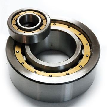 Cylindrical Roller Bearing 42