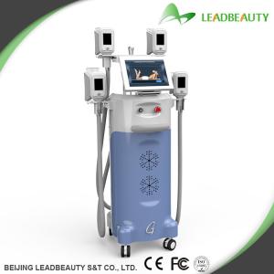 China Hottest fat freeze cryolipolysis slimming machine for weight loss factory